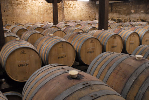 John Whisson: Winery cellar.